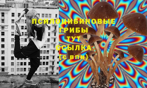 сатива Абинск